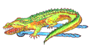 logo - krokodýl